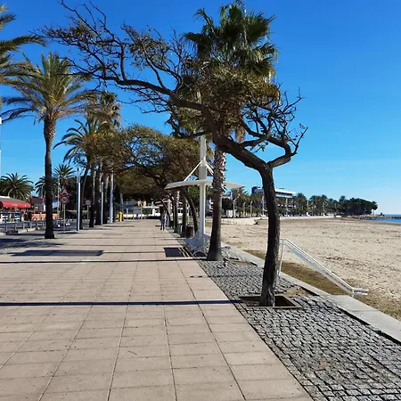 Gongora Cambrils